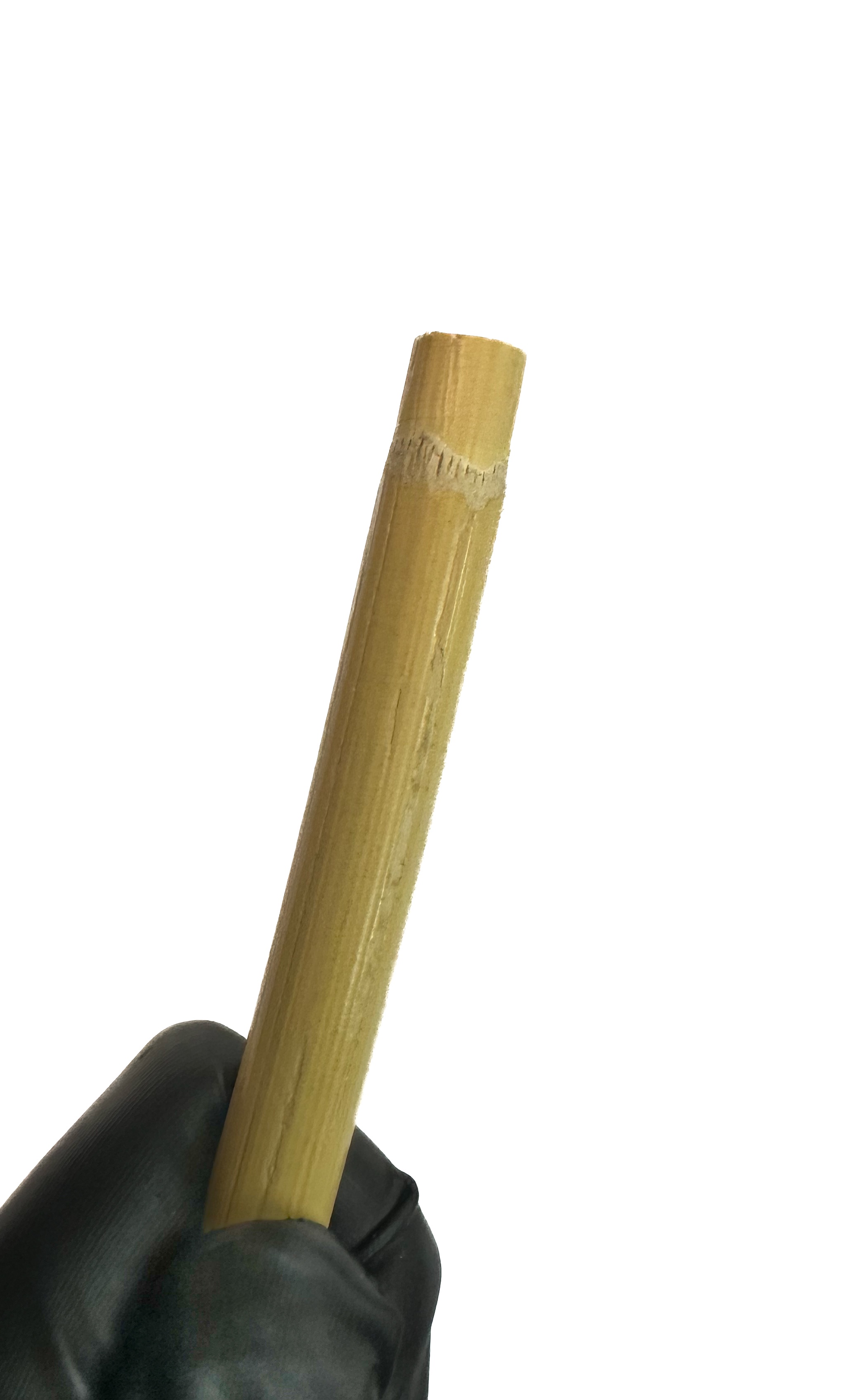 Cane unbehandelt, ungeschält, ca. 10 mm dick, Länge ca. 100 cm