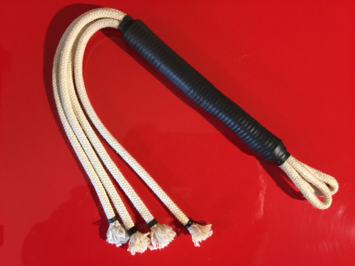 SEIL PEITSCHE - mx001