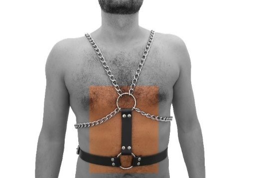 Y-Harness