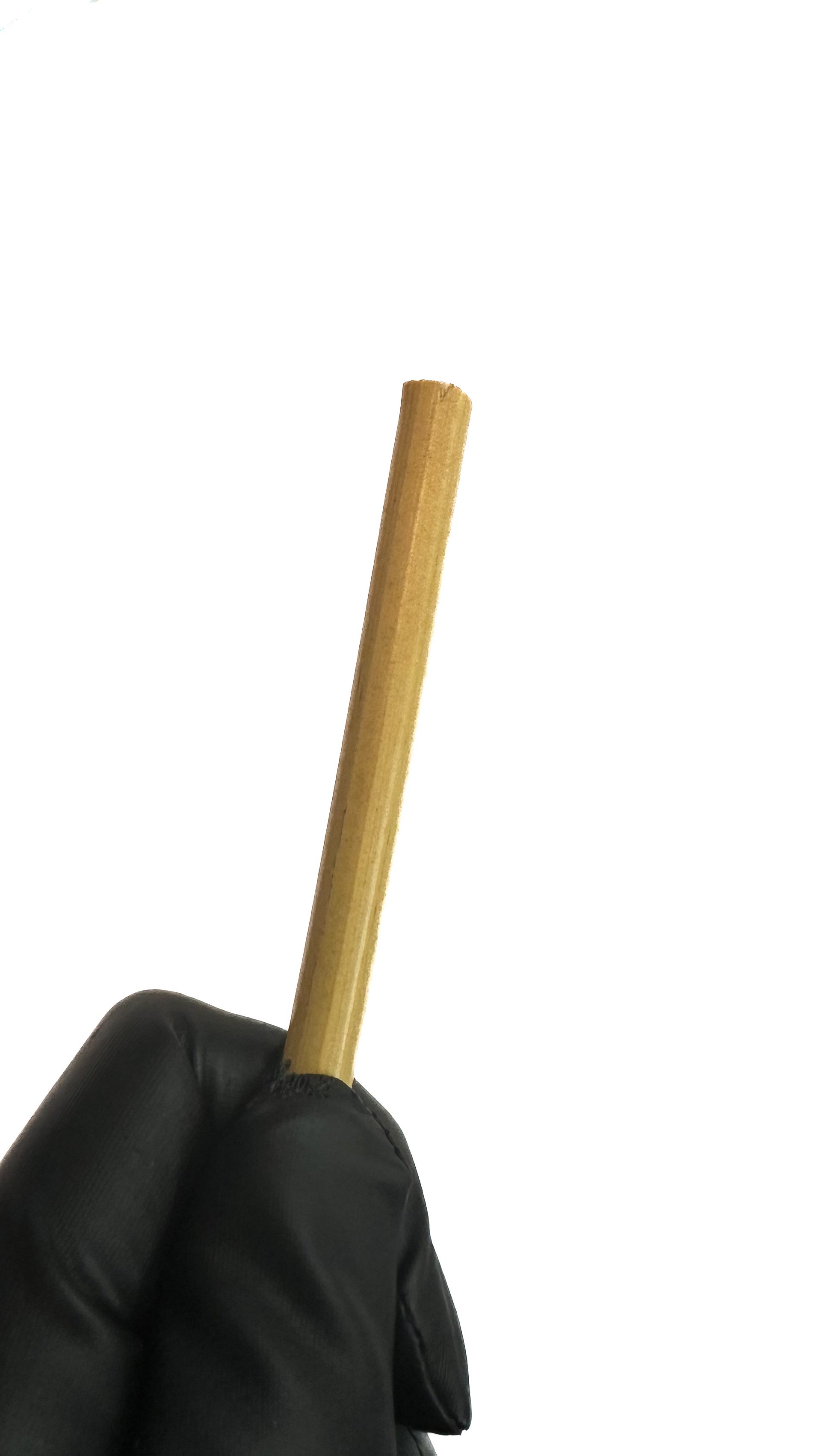 Cane unbehandelt, ungeschält, ca. 8 mm dick, Länge ca. 60 cm